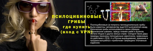 ешки Алексин
