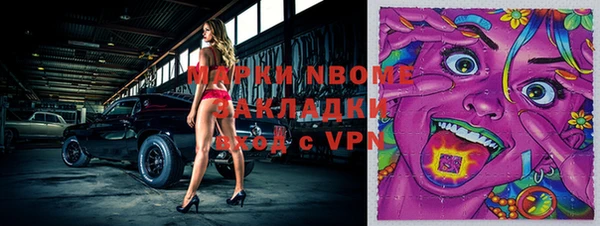ешки Алексин