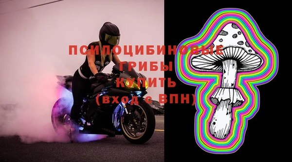 ешки Алексин
