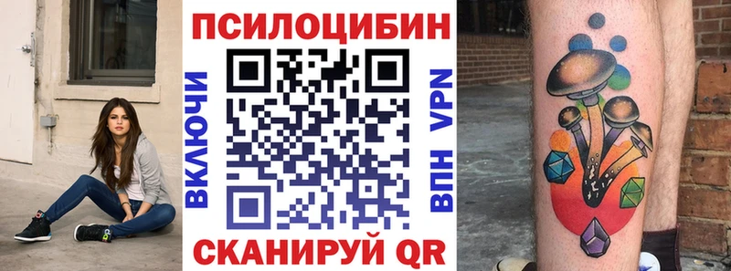 купить наркотики цена  Димитровград  Галлюциногенные грибы ЛСД 